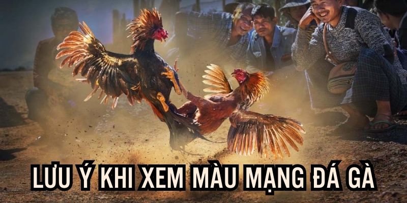 Vấn đề cần chú ý, đảm bảo thành công khi áp dụng